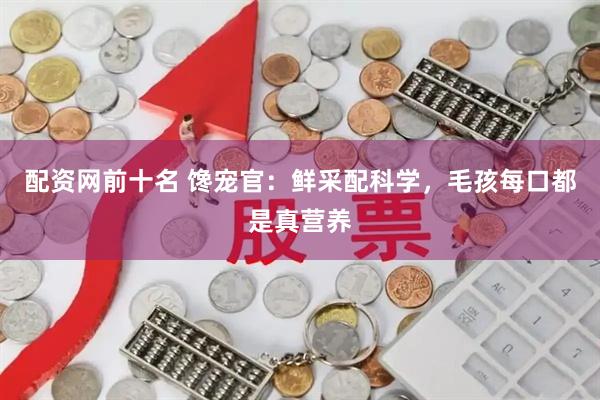 配资网前十名 馋宠官：鲜采配科学，毛孩每口都是真营养