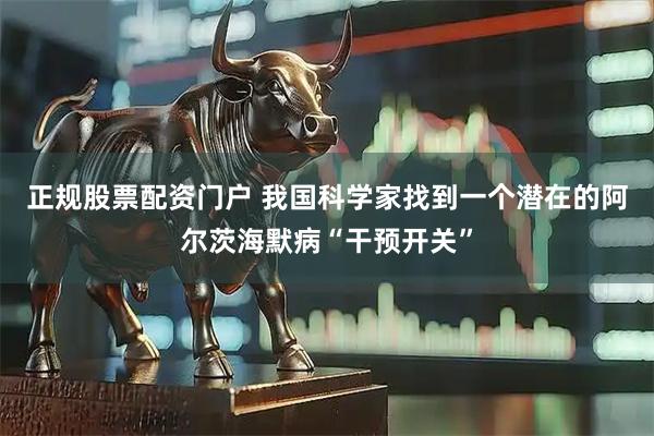 正规股票配资门户 我国科学家找到一个潜在的阿尔茨海默病“干预开关”